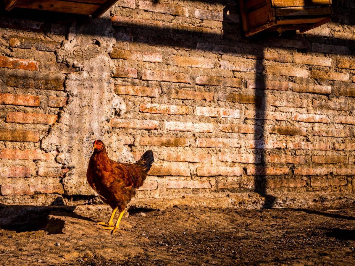 Converted Farm Loft Casablanca Exterior foto